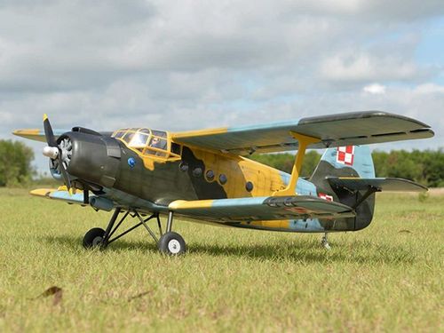 Antonov AN-2 / 2425mm Pichler 15524 Black Horse