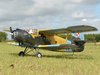 Antonov AN-2 / 2425mm Pichler 15524 Black Horse